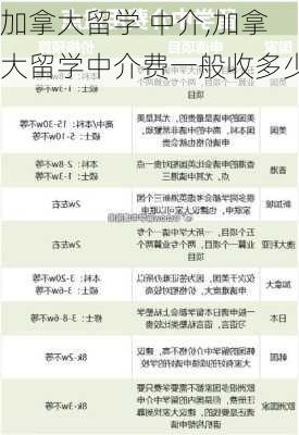 加拿大留学 中介,加拿大留学中介费一般收多少