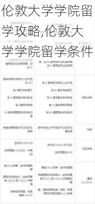 伦敦大学学院留学攻略,伦敦大学学院留学条件