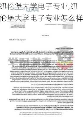 纽伦堡大学电子专业,纽伦堡大学电子专业怎么样