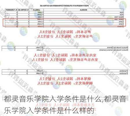 都灵音乐学院入学条件是什么,都灵音乐学院入学条件是什么样的