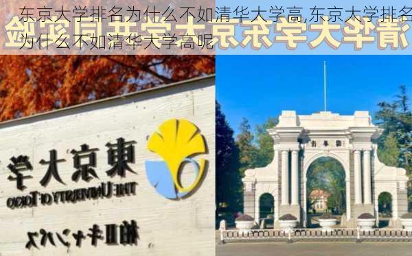 东京大学排名为什么不如清华大学高,东京大学排名为什么不如清华大学高呢