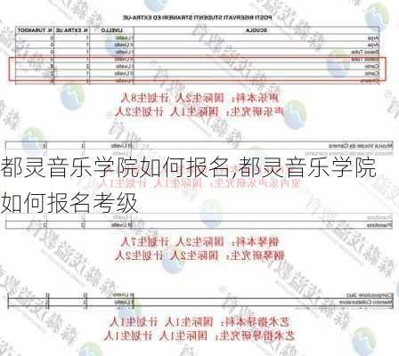 都灵音乐学院如何报名,都灵音乐学院如何报名考级