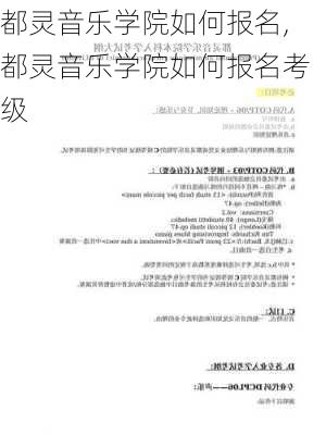 都灵音乐学院如何报名,都灵音乐学院如何报名考级