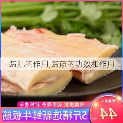 蹄肌的作用,蹄筋的功效和作用