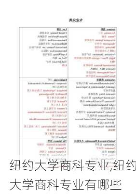 纽约大学商科专业,纽约大学商科专业有哪些