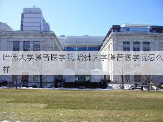 哈佛大学噪音医学院,哈佛大学噪音医学院怎么样