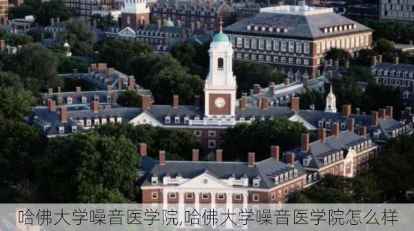 哈佛大学噪音医学院,哈佛大学噪音医学院怎么样