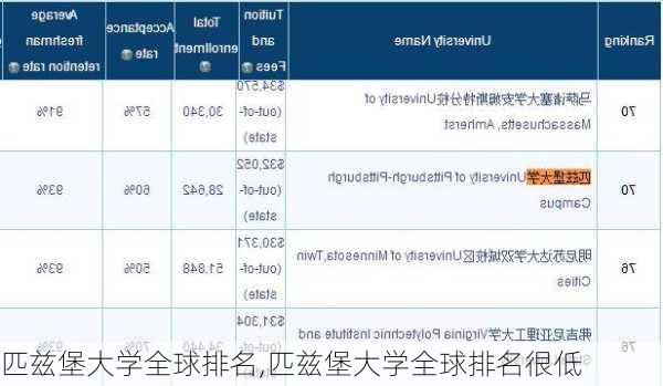 匹兹堡大学全球排名,匹兹堡大学全球排名很低