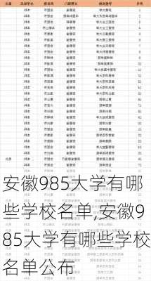 安徽985大学有哪些学校名单,安徽985大学有哪些学校名单公布