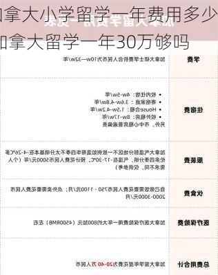 加拿大小学留学一年费用多少,加拿大留学一年30万够吗