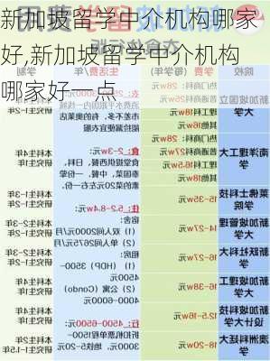 新加坡留学中介机构哪家好,新加坡留学中介机构哪家好一点