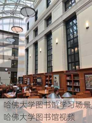 哈佛大学图书馆学习场景,哈佛大学图书馆视频