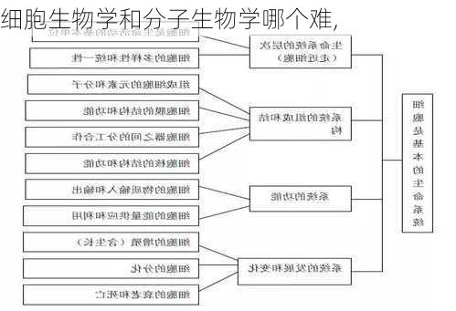 细胞生物学和分子生物学哪个难,