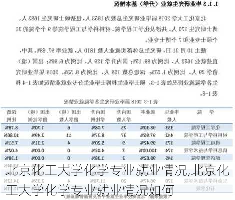 北京化工大学化学专业就业情况,北京化工大学化学专业就业情况如何