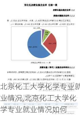 北京化工大学化学专业就业情况,北京化工大学化学专业就业情况如何