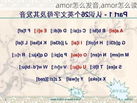 amor怎么发音,amor怎么读