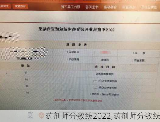 药剂师分数线2022,药剂师分数线