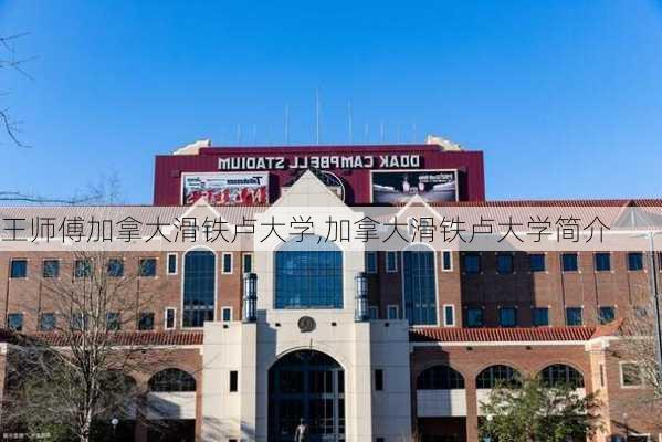 王师傅加拿大滑铁卢大学,加拿大滑铁卢大学简介