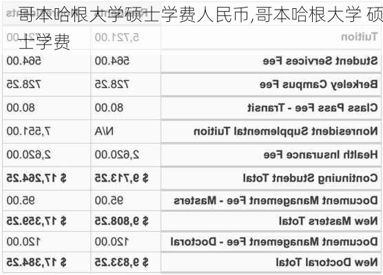 哥本哈根大学硕士学费人民币,哥本哈根大学 硕士学费