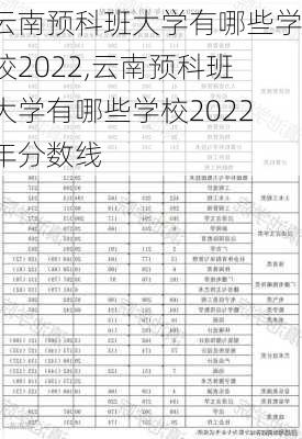 云南预科班大学有哪些学校2022,云南预科班大学有哪些学校2022年分数线