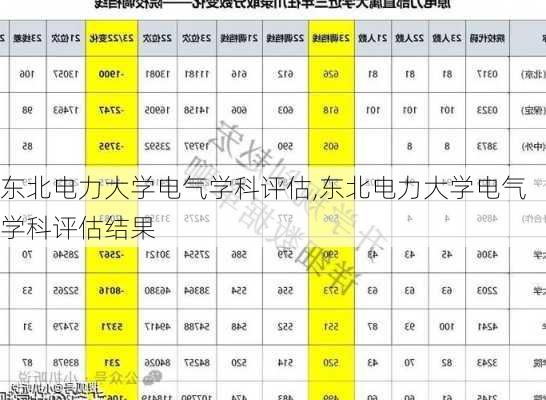 东北电力大学电气学科评估,东北电力大学电气学科评估结果