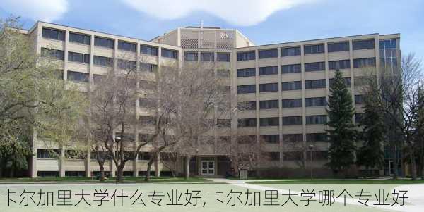 卡尔加里大学什么专业好,卡尔加里大学哪个专业好