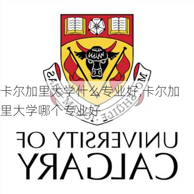 卡尔加里大学什么专业好,卡尔加里大学哪个专业好