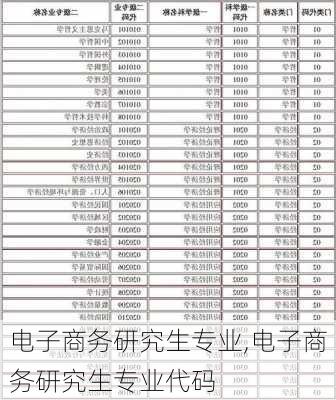 电子商务研究生专业,电子商务研究生专业代码