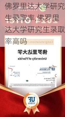 佛罗里达大学研究生录取率,佛罗里达大学研究生录取率高吗