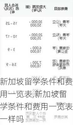 新加坡留学条件和费用一览表,新加坡留学条件和费用一览表一样吗