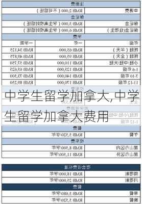 中学生留学加拿大,中学生留学加拿大费用