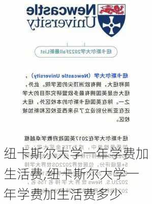 纽卡斯尔大学一年学费加生活费,纽卡斯尔大学一年学费加生活费多少