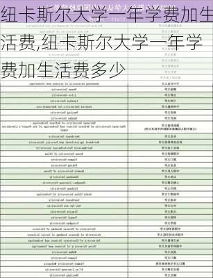 纽卡斯尔大学一年学费加生活费,纽卡斯尔大学一年学费加生活费多少