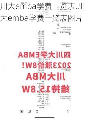 川大emba学费一览表,川大emba学费一览表图片