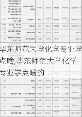 华东师范大学化学专业学点啥,华东师范大学化学专业学点啥的