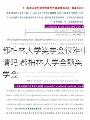 都柏林大学奖学金很难申请吗,都柏林大学全额奖学金