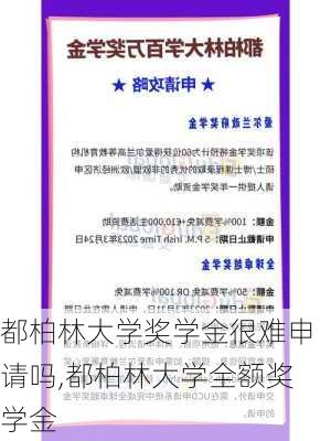 都柏林大学奖学金很难申请吗,都柏林大学全额奖学金