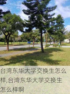 台湾东华大学交换生怎么样,台湾东华大学交换生怎么样啊