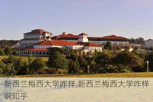 新西兰梅西大学咋样,新西兰梅西大学咋样啊知乎