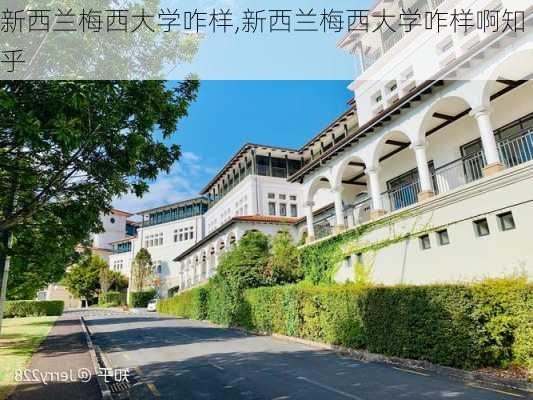 新西兰梅西大学咋样,新西兰梅西大学咋样啊知乎