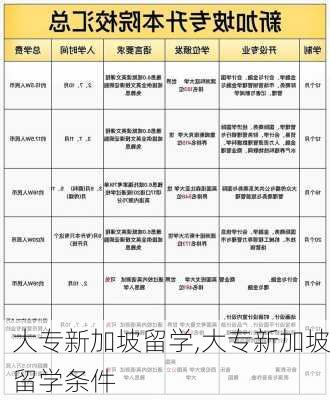 大专新加坡留学,大专新加坡留学条件