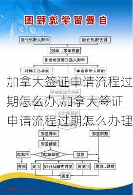 加拿大签证申请流程过期怎么办,加拿大签证申请流程过期怎么办理