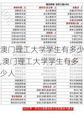 澳门理工大学学生有多少,澳门理工大学学生有多少人