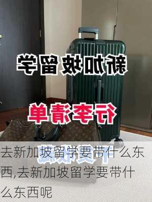 去新加坡留学要带什么东西,去新加坡留学要带什么东西呢