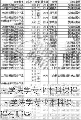 大学法学专业本科课程,大学法学专业本科课程有哪些