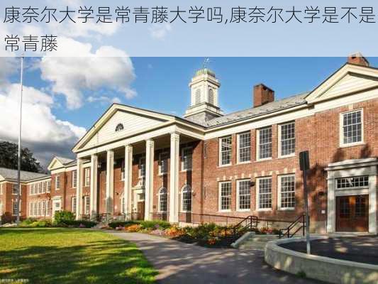 康奈尔大学是常青藤大学吗,康奈尔大学是不是常青藤