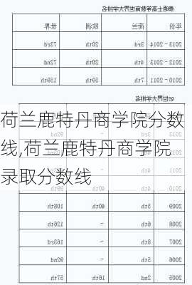 荷兰鹿特丹商学院分数线,荷兰鹿特丹商学院录取分数线