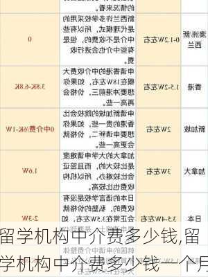 留学机构中介费多少钱,留学机构中介费多少钱一个月