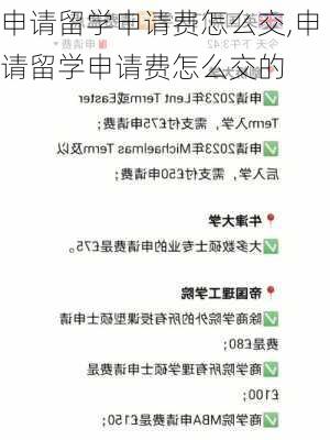 申请留学申请费怎么交,申请留学申请费怎么交的