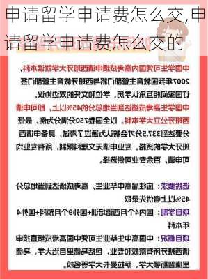 申请留学申请费怎么交,申请留学申请费怎么交的